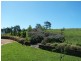 351 Centennial Road, Bowral NSW 2576