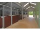 Kangaloon NSW 2576
