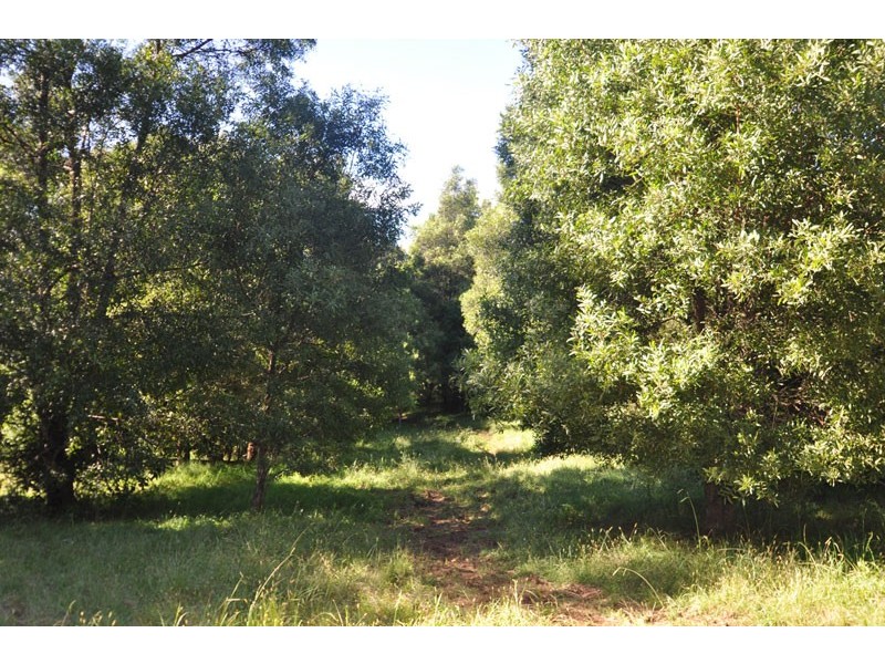 Robertson NSW 2577