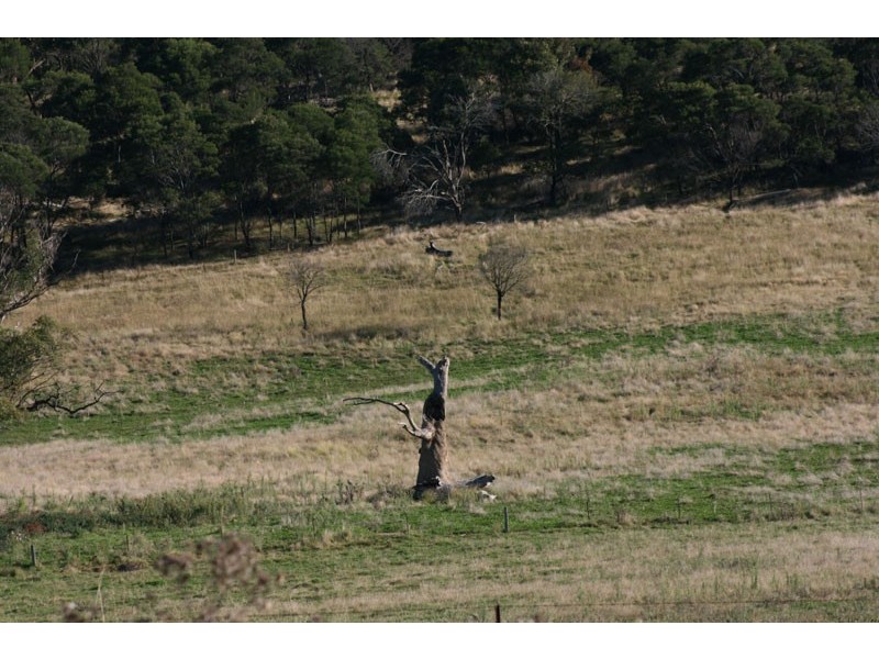 Lot 32 Greenhills Road, Berrima NSW 2577