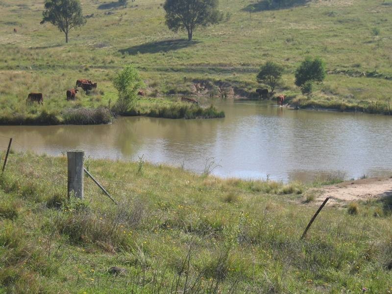 Bullio NSW 2575
