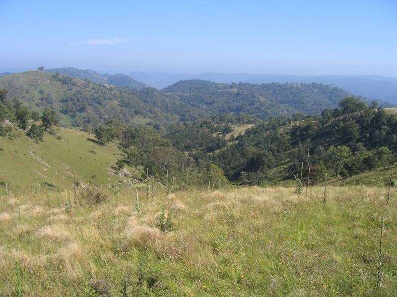 Bullio NSW 2575
