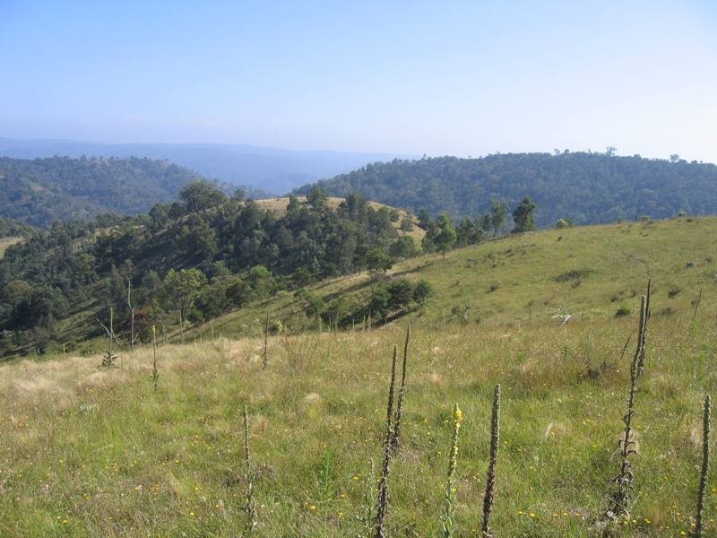 Bullio NSW 2575