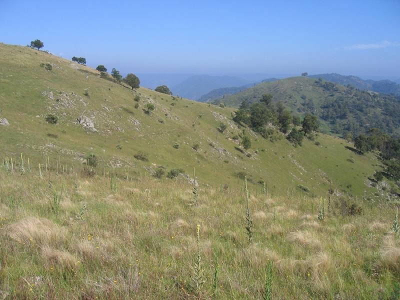 Bullio NSW 2575