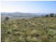 Bullio NSW 2575