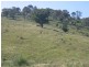 Bullio NSW 2575