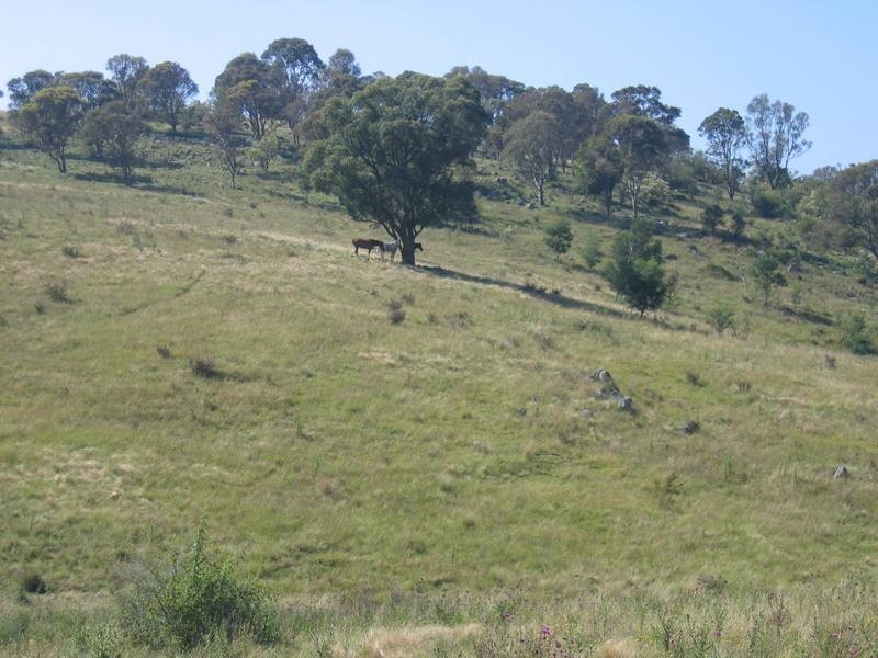 Bullio NSW 2575