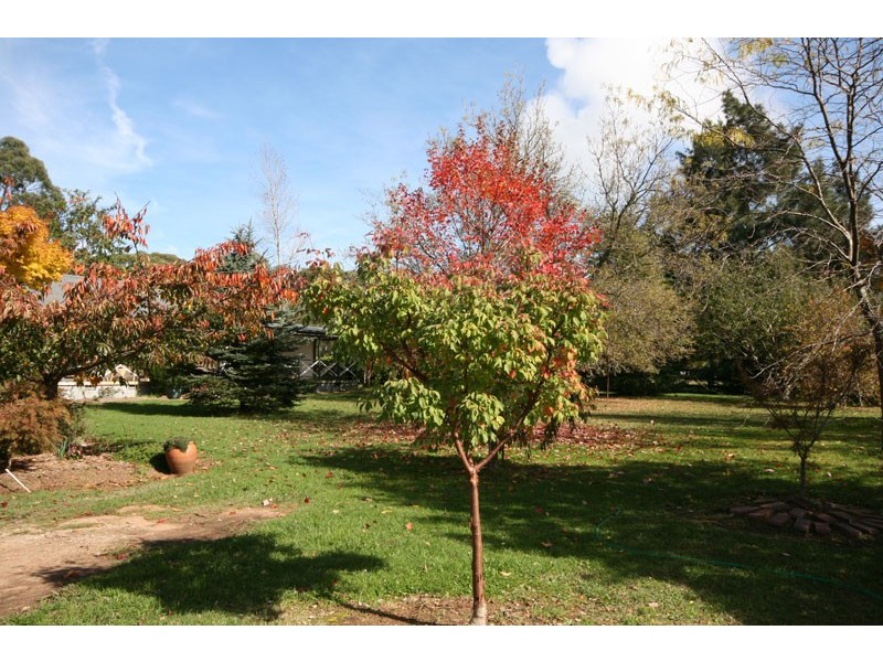 Carrington Falls NSW 2577