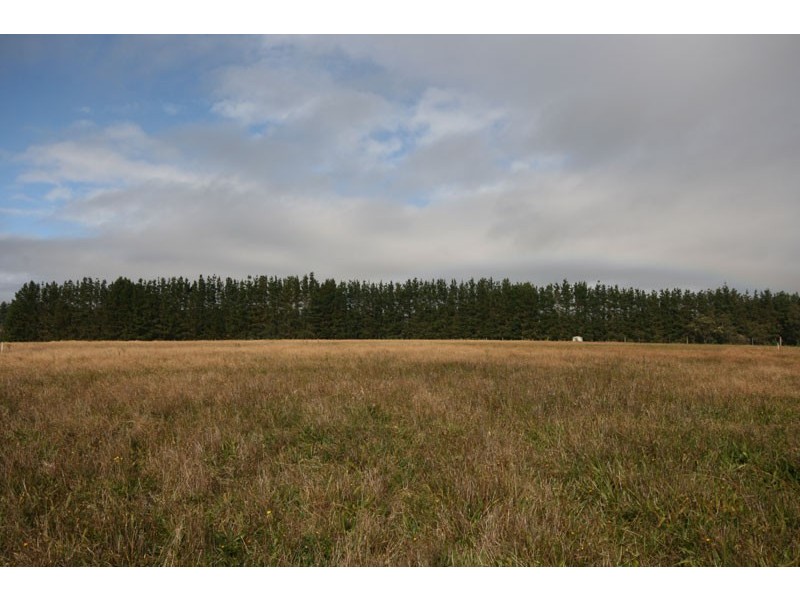 Carrington Falls NSW 2577