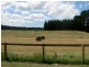 East Kangaloon NSW 2576