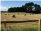 East Kangaloon NSW 2576