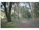 Avoca NSW 2577