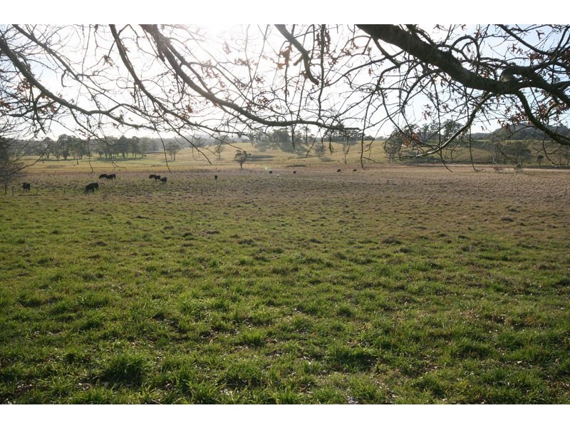 Avoca NSW 2577
