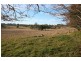 Avoca NSW 2577