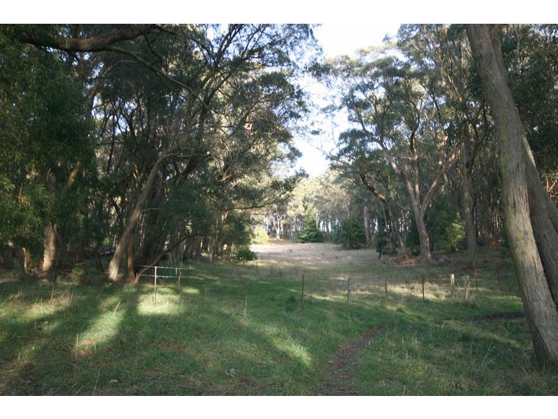 Avoca NSW 2577