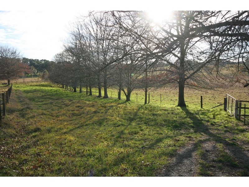 Avoca NSW 2577