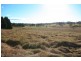 Avoca NSW 2577