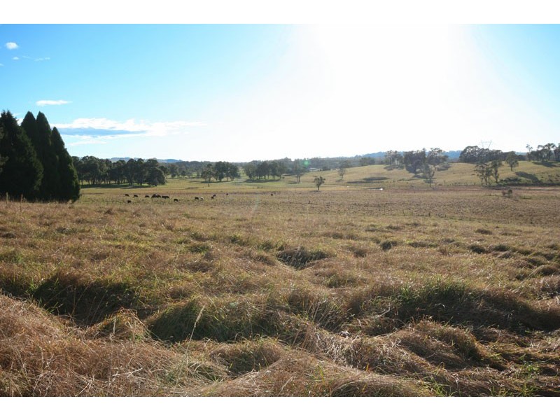 Avoca NSW 2577