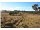 Avoca NSW 2577