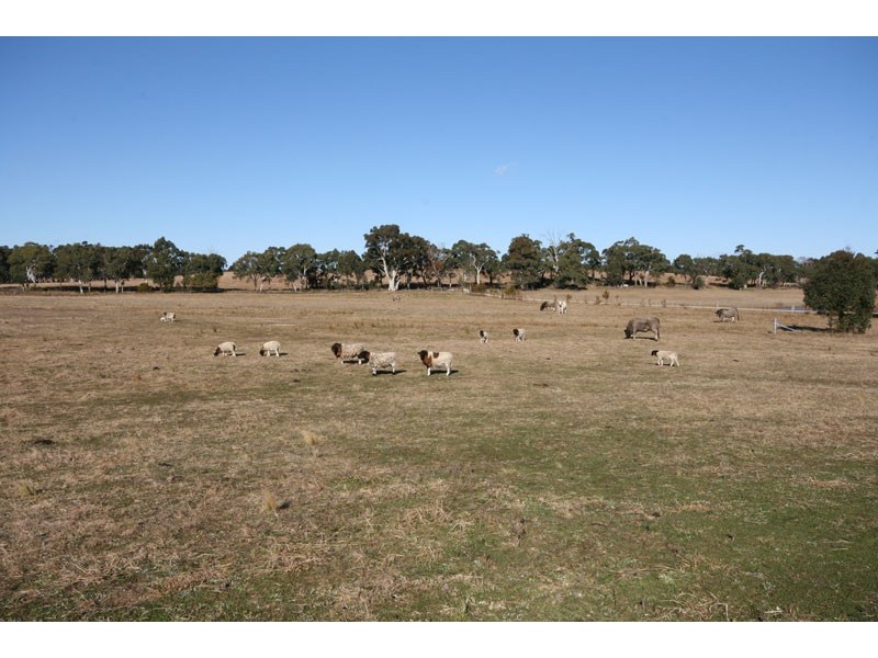 High Range NSW 2575