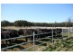 Wingello NSW 2579