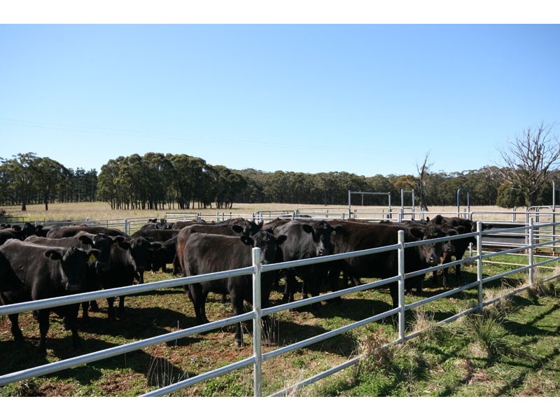 Wingello NSW 2579