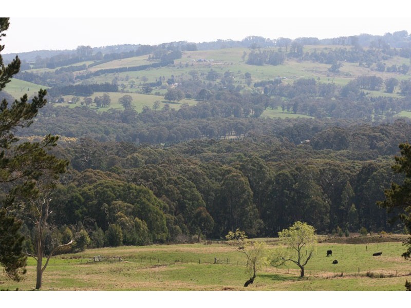 Kangaloon NSW 2576