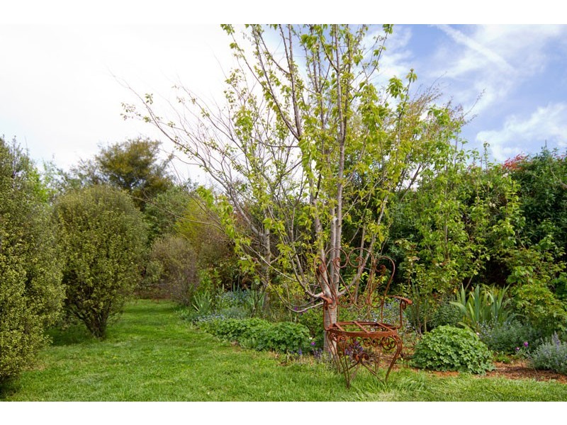 1 Hoddle Street, Robertson NSW 2577