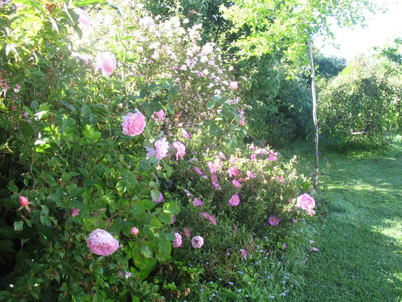 1 Hoddle Street, Robertson NSW 2577