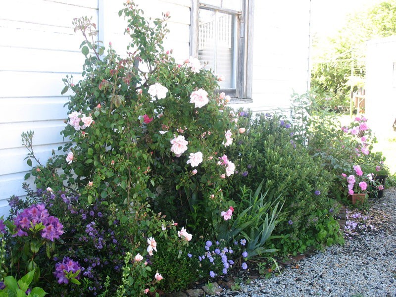 1 Hoddle Street, Robertson NSW 2577