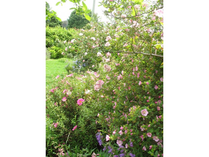 1 Hoddle Street, Robertson NSW 2577