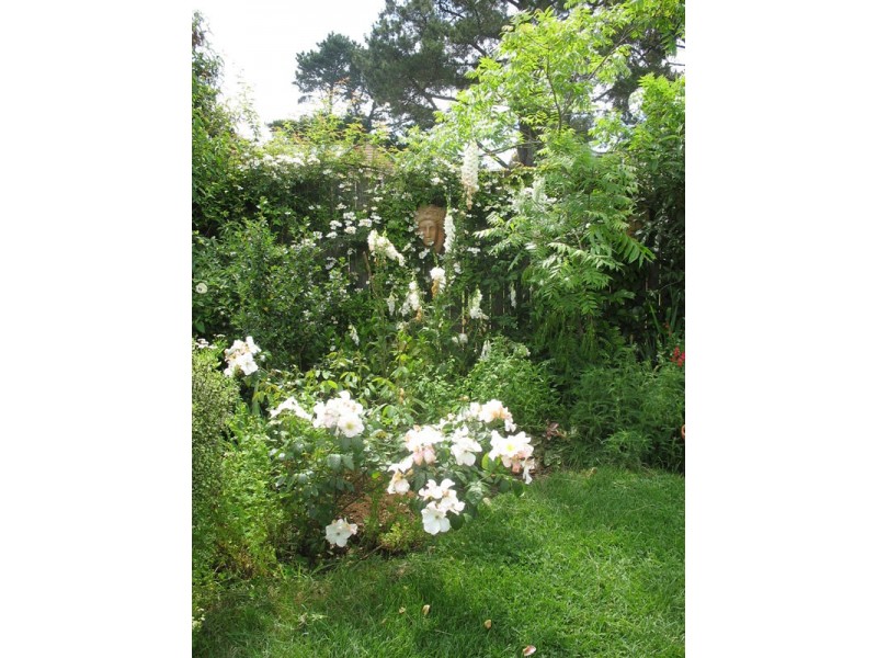 1 Hoddle Street, Robertson NSW 2577