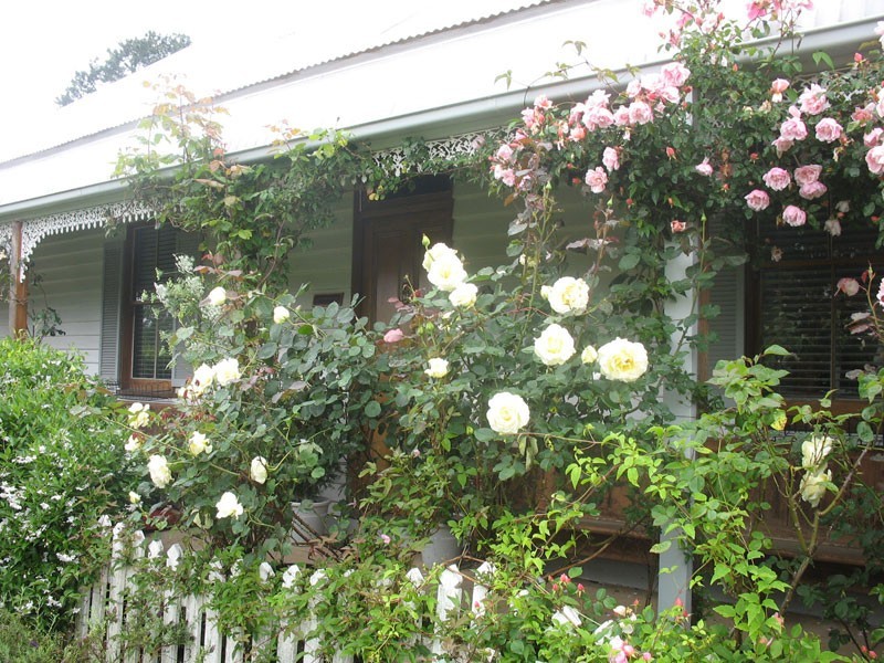 1 Hoddle Street, Robertson NSW 2577