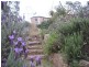 Brogo NSW 2550