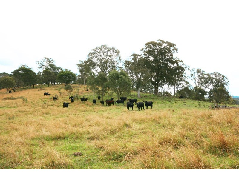 Lot 3 Compton Park Estate, Berrima NSW 2577