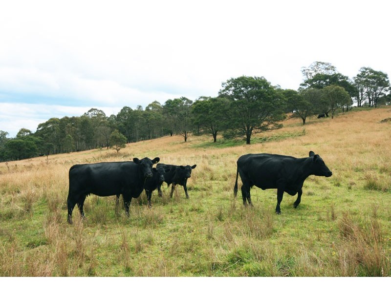 Lot 3 Compton Park Estate, Berrima NSW 2577