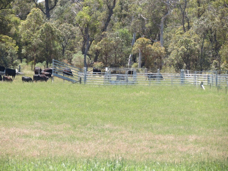 Joadja NSW 2575