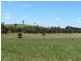 Joadja NSW 2575