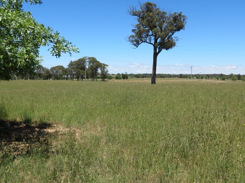 Joadja NSW 2575