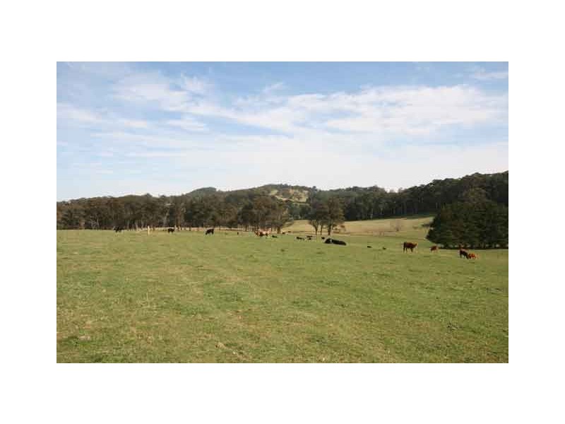 Moss Vale NSW 2577
