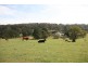 Moss Vale NSW 2577