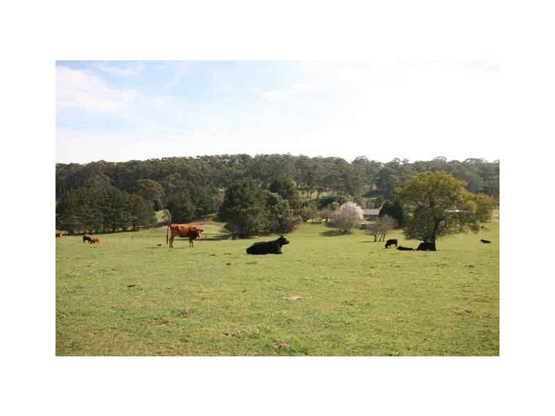 Moss Vale NSW 2577