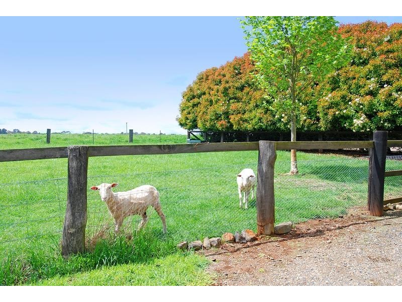Moss Vale NSW 2577