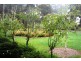 Colo Vale NSW 2575