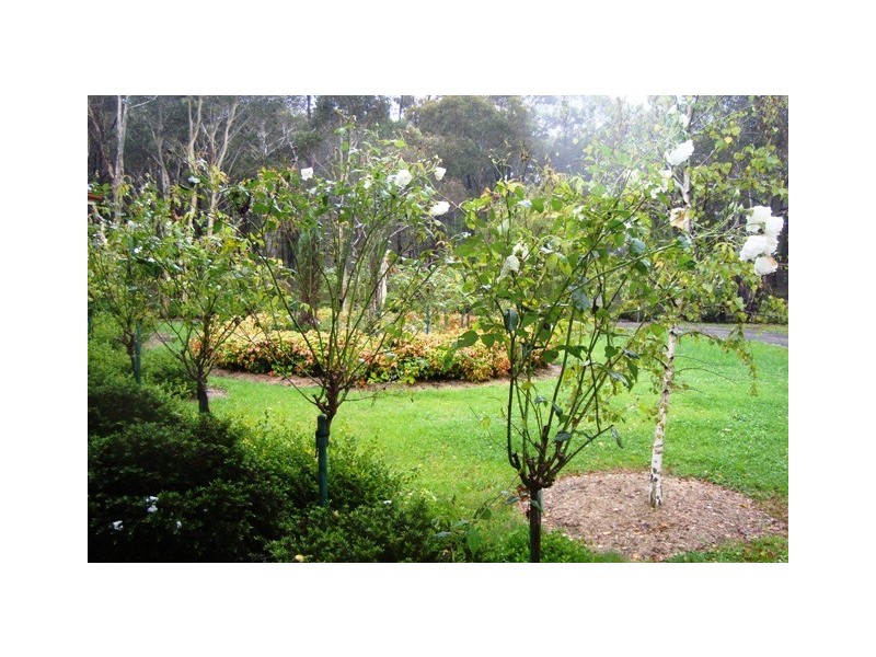 Colo Vale NSW 2575