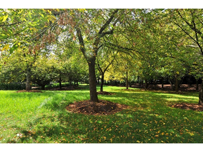 Burrawang NSW 2577