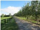 Robertson NSW 2577