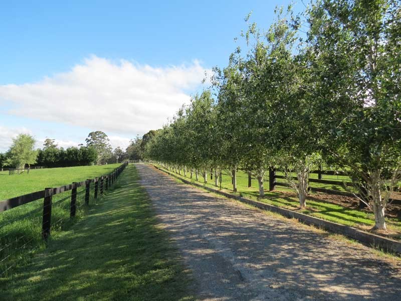 Robertson NSW 2577