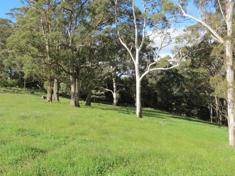 Robertson NSW 2577