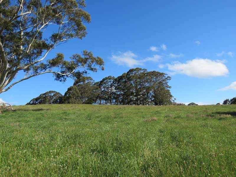 Robertson NSW 2577